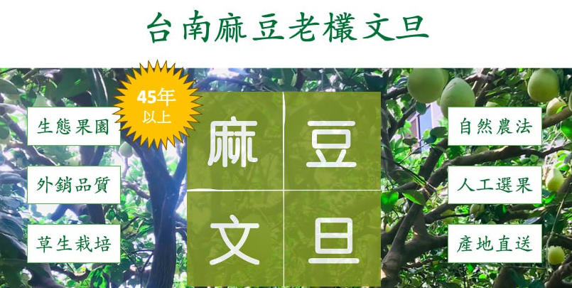 台南麻豆老欉文旦